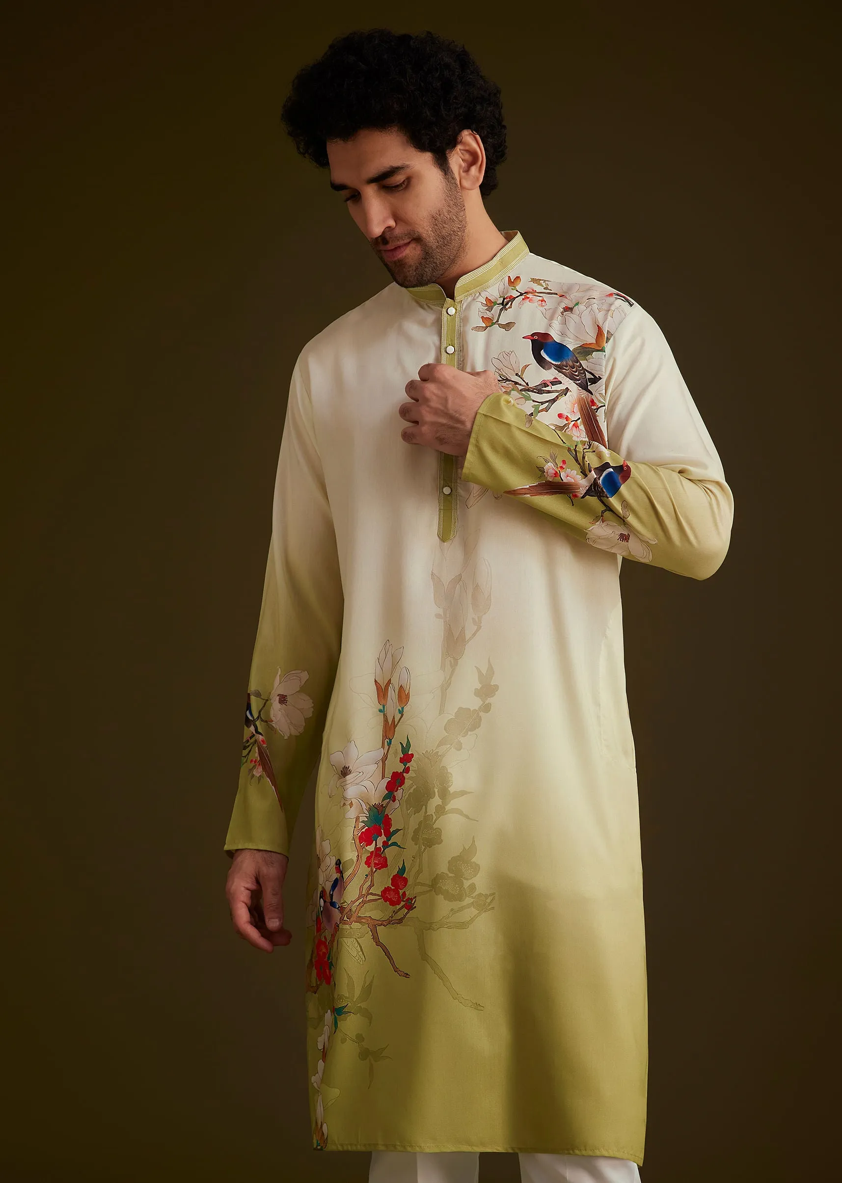 Green Bird Printed Kurta Set