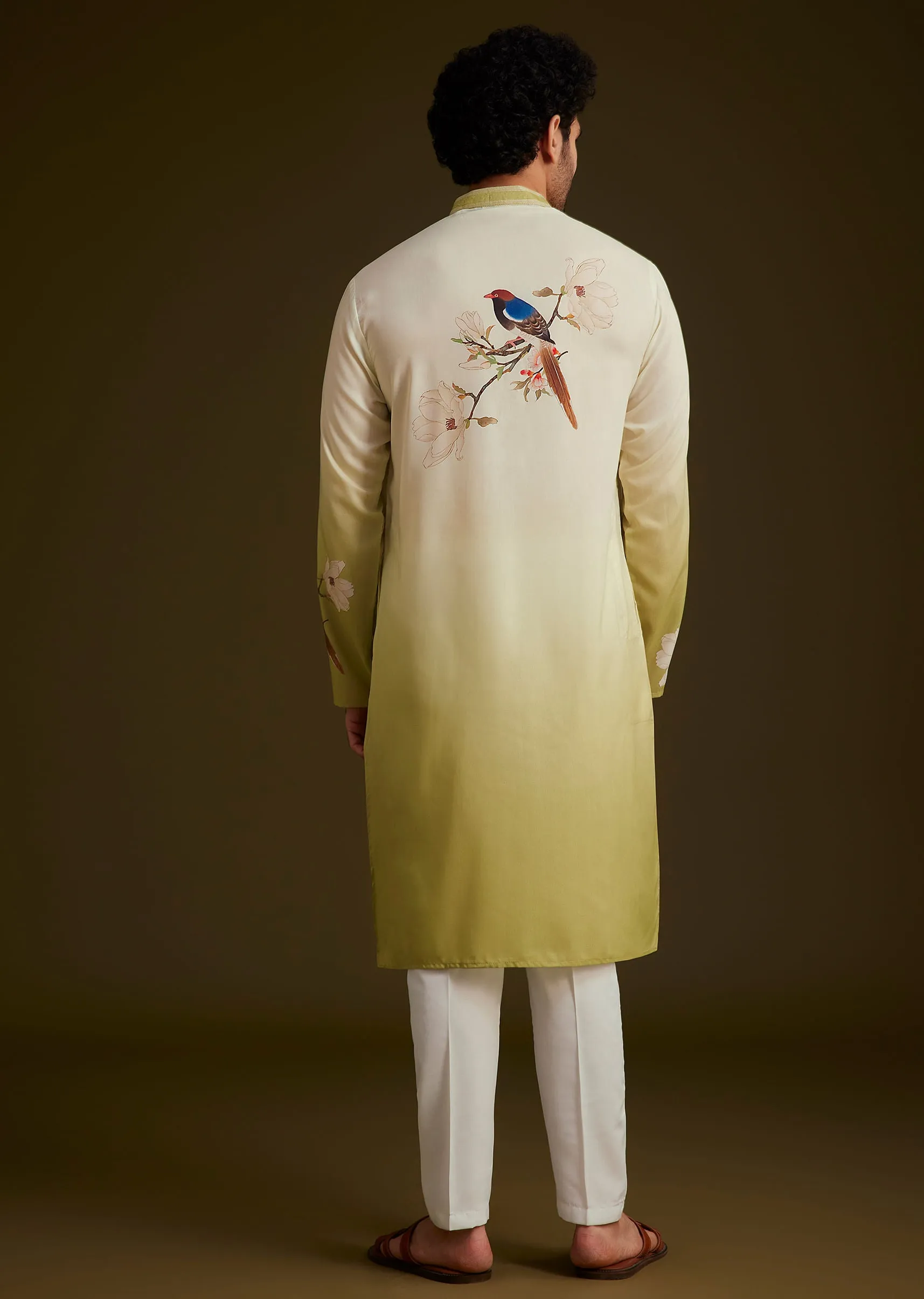 Green Bird Printed Kurta Set