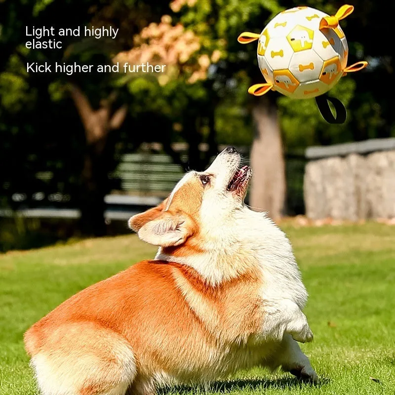 Interactive Dog Football Soccer Training Balls