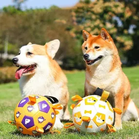 Interactive Dog Football Soccer Training Balls